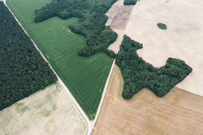 Fields with wheat and corn which are delimited by the road going to the city on a diagonal