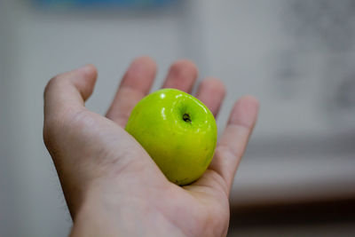 Close-up of hand holding apple