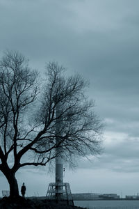 Bare tree by sea against sky