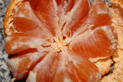 Close-up of orange