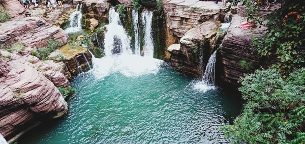 Scenic view of waterfall in forest