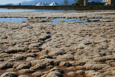 Surface level of rocks on shore