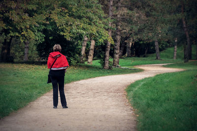 Rear view of man standing on footpath at park