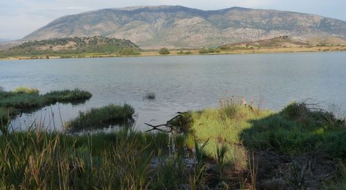 Scenic view of lake by mountains against sky