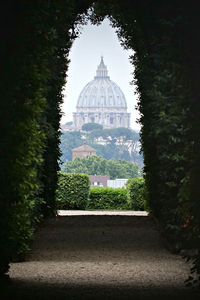 St peter basilica