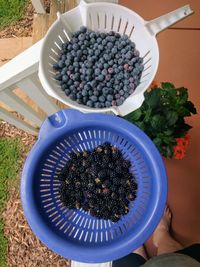 High angle view of fruits in bowl on table