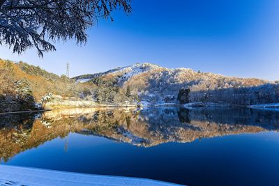 Reflection of tree in lake against sky during winter