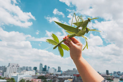 Close-up of hand holding plant against sky