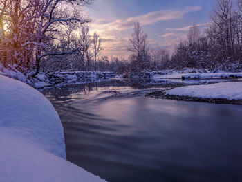 Snow covered bare trees against sky during sunset