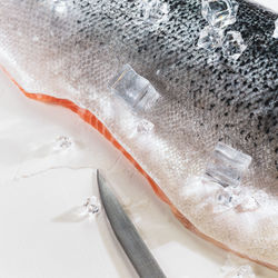 Food composition with fresh sea fish, raw salmon fillet with ice cubes and a knife