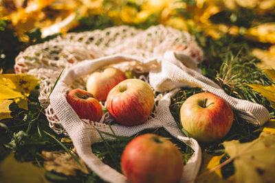 Autumn flatlay of apples and leaves 