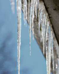 Close-up of icicles