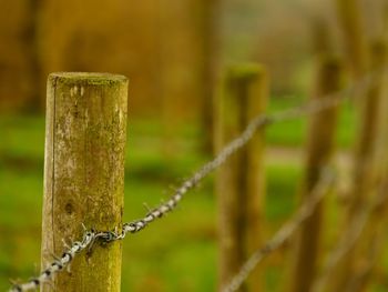 Close-up of barbed wire fence