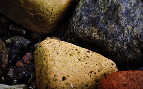 Close-up of rocks on field