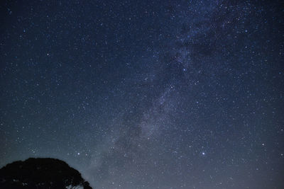 Low angle view of stars in sky