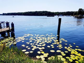 Scenic view of lake against sky