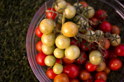 Close-up of grapes