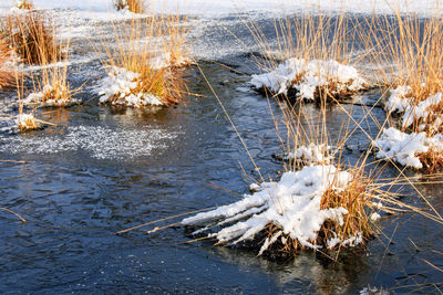 Frozen lake in winter