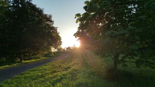 Road passing through landscape