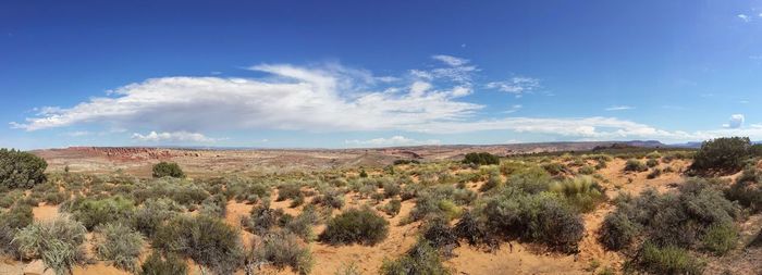 Scenic view of landscape against cloudy sky