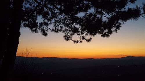 Silhouette tree against sky during sunset