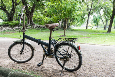 Bicycle on tree trunk