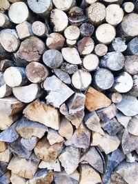 Full frame shot of logs