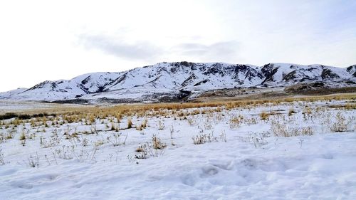 Scenic view of snowcapped mountains against sky