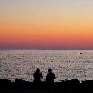 Rear view of silhouette people on beach against sky during sunset