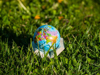 Close-up of multi colored umbrella on field