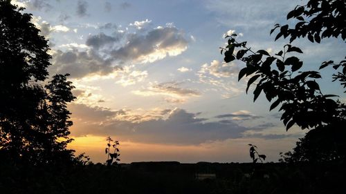 Silhouette trees on field against sky during sunset