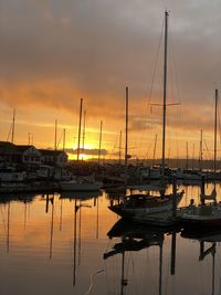 Sailboats moored in marina at sunset