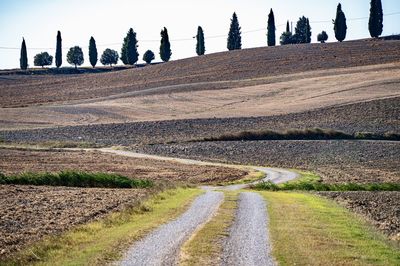 Scenic view of agricultural field