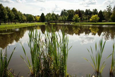 Scenic view of lake against sky