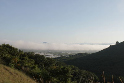 Scenic view of landscape against sky