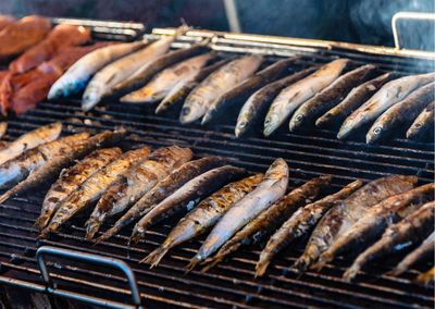 A picture of sea fish broading