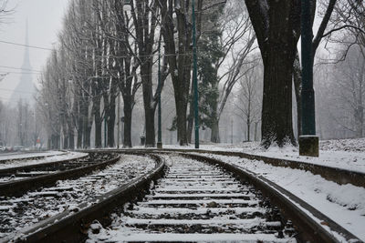Railroad tracks amidst trees during winter