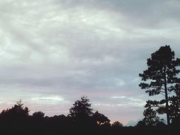 Low angle view of silhouette trees against sky