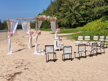 Empty chairs on beach against trees