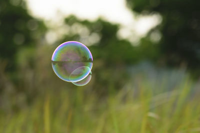 Close-up of bubbles in mid-air