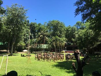 Group of people on field against trees