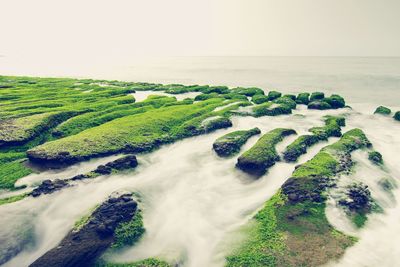 Scenic view of sea against clear sky