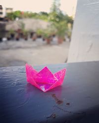 Close-up of wet pink floating on water