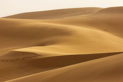 Scenic view of desert