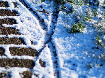 snow