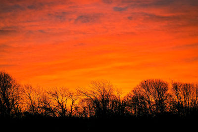 Silhouette trees against sky during sunset