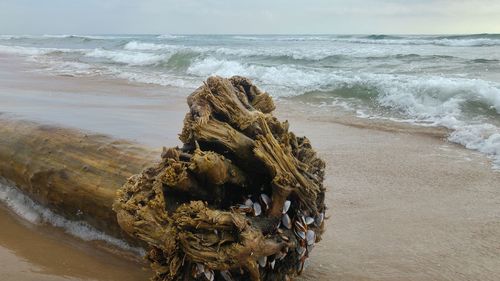 Panoramic view of sea against sky