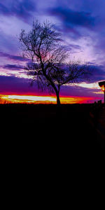 Silhouette bare tree against sky during sunset