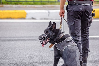 Low section of person with dog standing outdoors