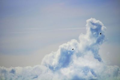 Low angle view of eagle flying in sky